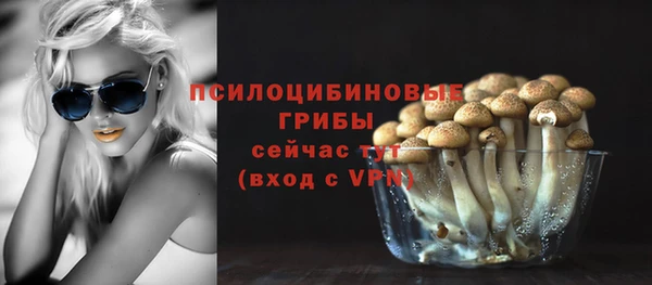 прущий лед Алексеевка