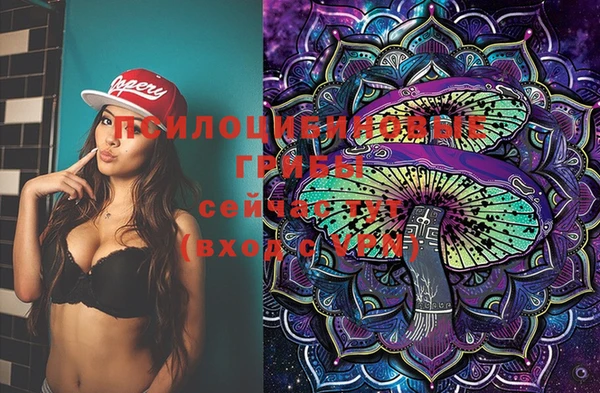 скорость Алексин
