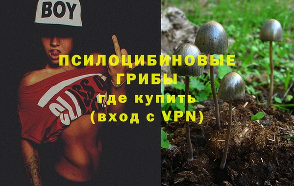 прущий лед Алексеевка